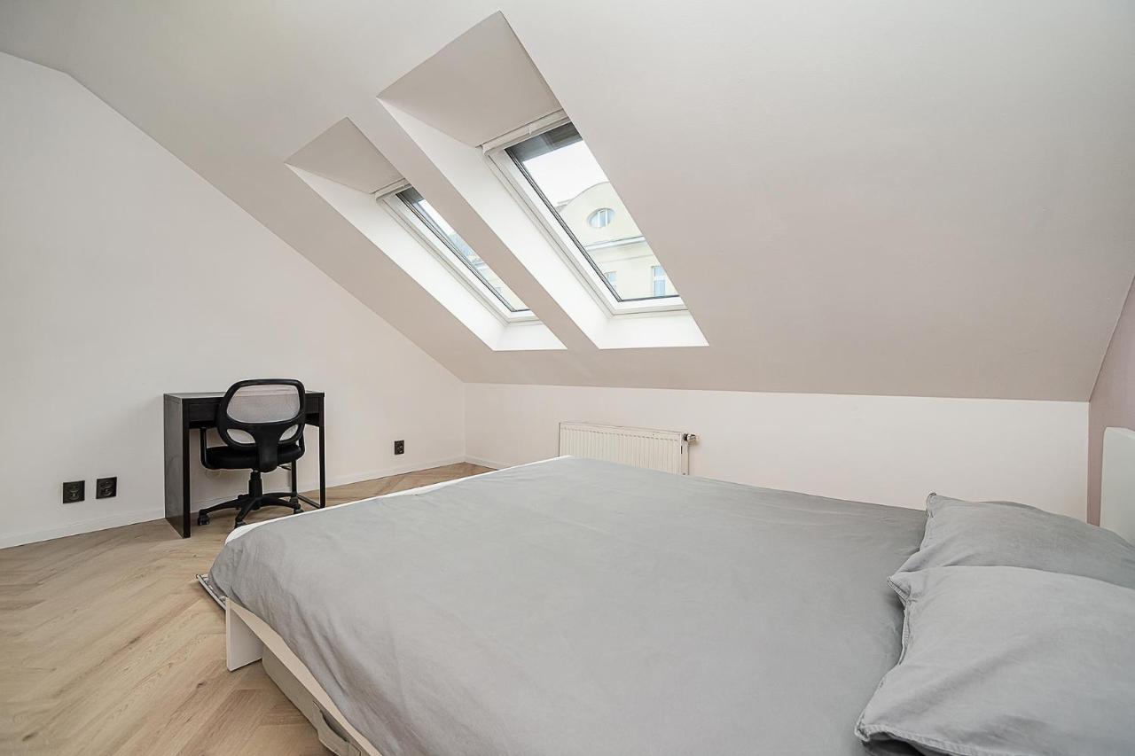 Big 4-Bedroom Flat, Terrace With Great Vitkov View Prague Luaran gambar